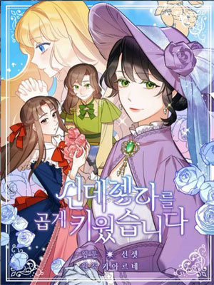 灰姑娘养的很好