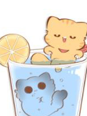 猫咪的人类饲养指南