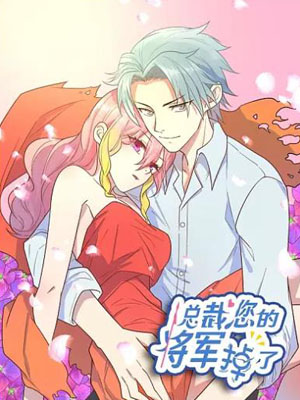 总裁您的将军掉了