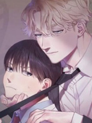 分配超优质男友