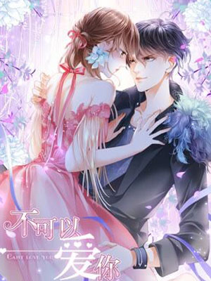 不可以爱你