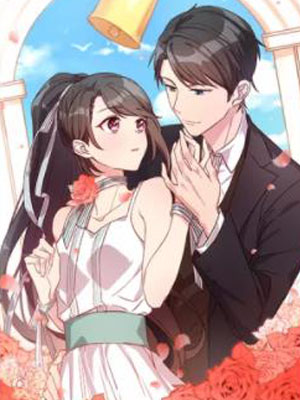 贺少的闪婚暖妻