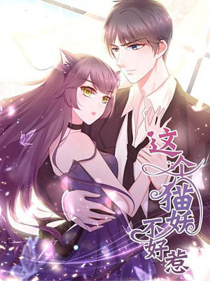 这个猫妖不好惹