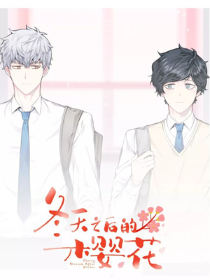 冬天之后的樱花