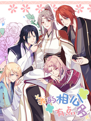 我的相公有点多