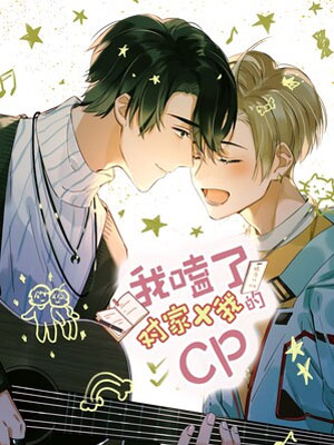 我磕了对家x我cp