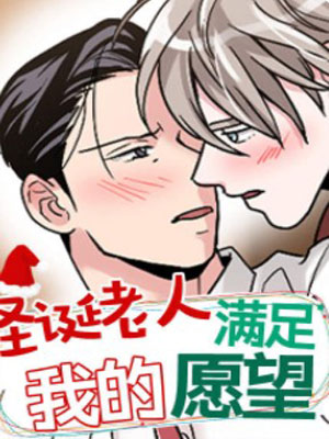 圣诞老人满足我的愿望