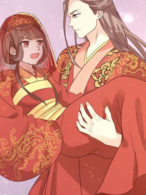 穿越之太子妃威武