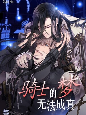 骑士的梦 无法成真