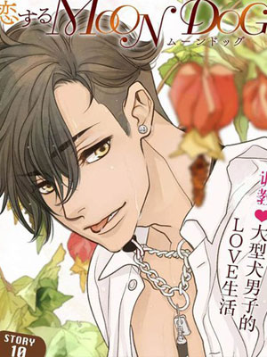 恋上月犬男子