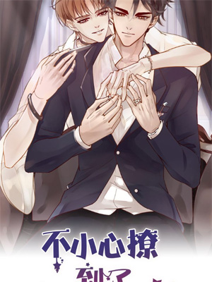 不小心撩到了亿万首席