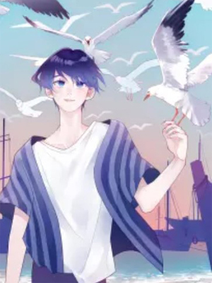 海风吹过的地方