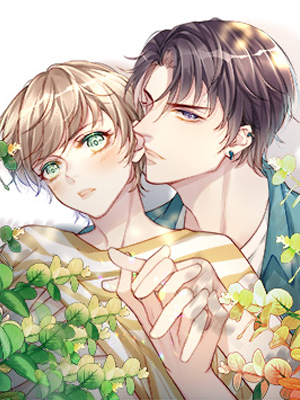 为什么我会喜欢你