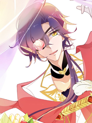 纯白的命运之轮