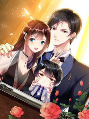 天才酷宝总裁宠妻太强悍