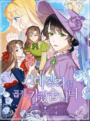 我把灰姑娘养的很好