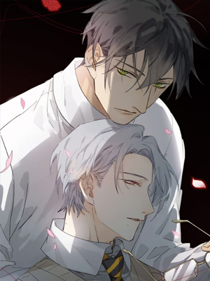 奥格斯的法则第二季