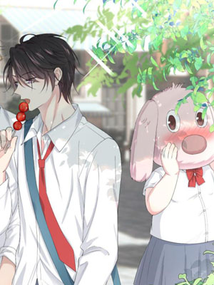 我怎么会那么喜欢你