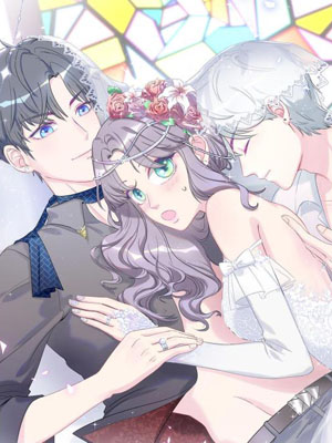 我的未婚夫候选人