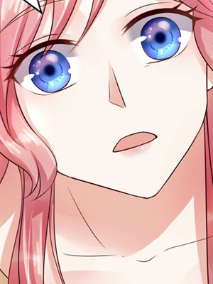 陆少的暖婚新妻