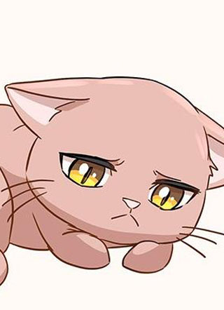 奇喵人生 截图1