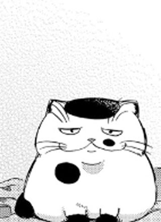 大叔与猫 截图1