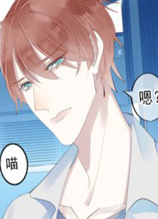 我捡的流浪猫变成人了 截图1