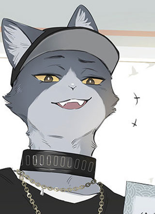 双十一养猫 截图1