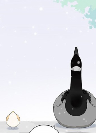 南方的鸟和北方的鸟 截图1