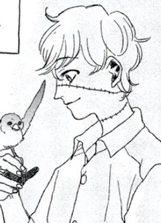 他的植物很漂亮 截图1