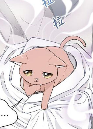 为喵人生 截图1