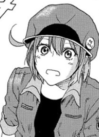 工作细胞 截图1