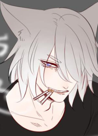 猫先生和狗狗 截图1