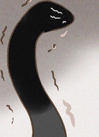 我的纯阴师尊 截图1