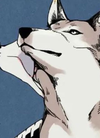 需要铭记的夜晚 截图1