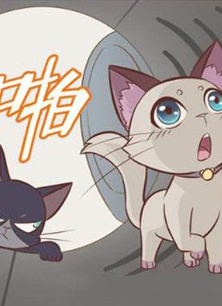 喵即正义 截图1