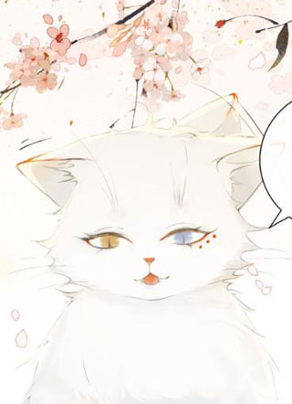 紫禁·御喵房 截图1