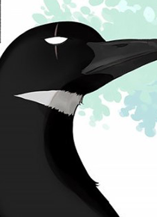 南方的鸟和北方的鸟 截图1