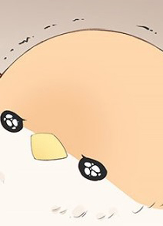 南方的鸟和北方的鸟 截图1