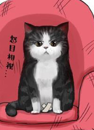 吾皇巴扎黑 截图1