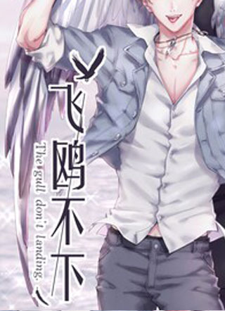 飞鸥不下 截图1